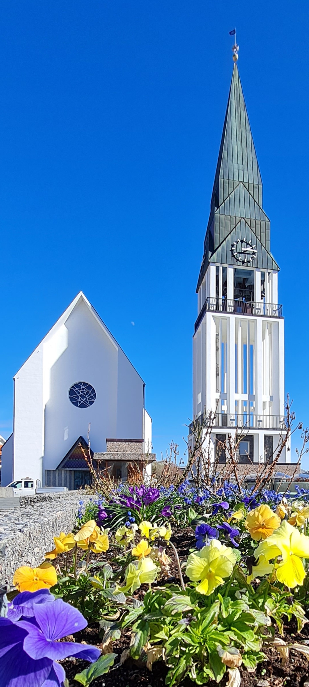 Bilde av domkirken og gule blomster
